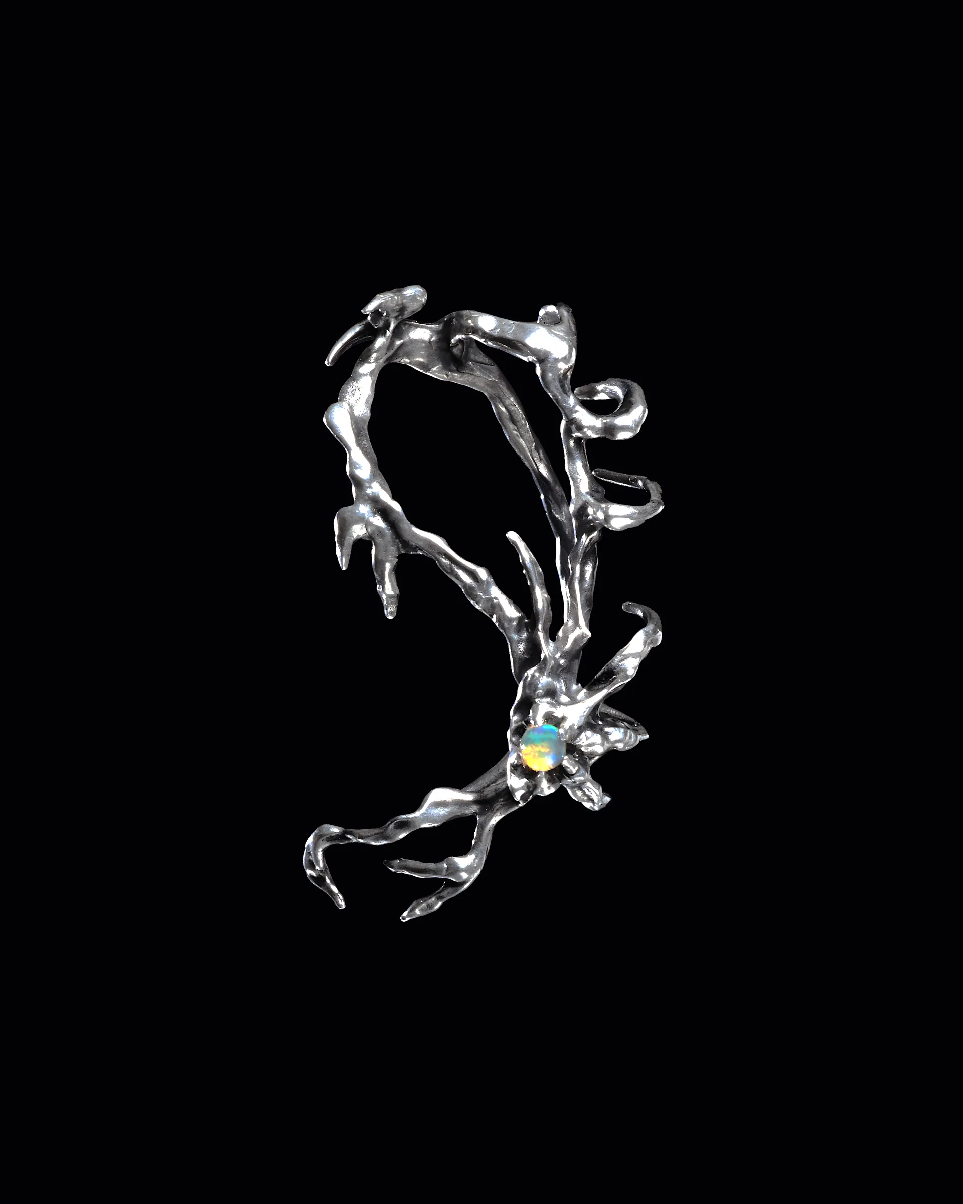 H2R, image 2