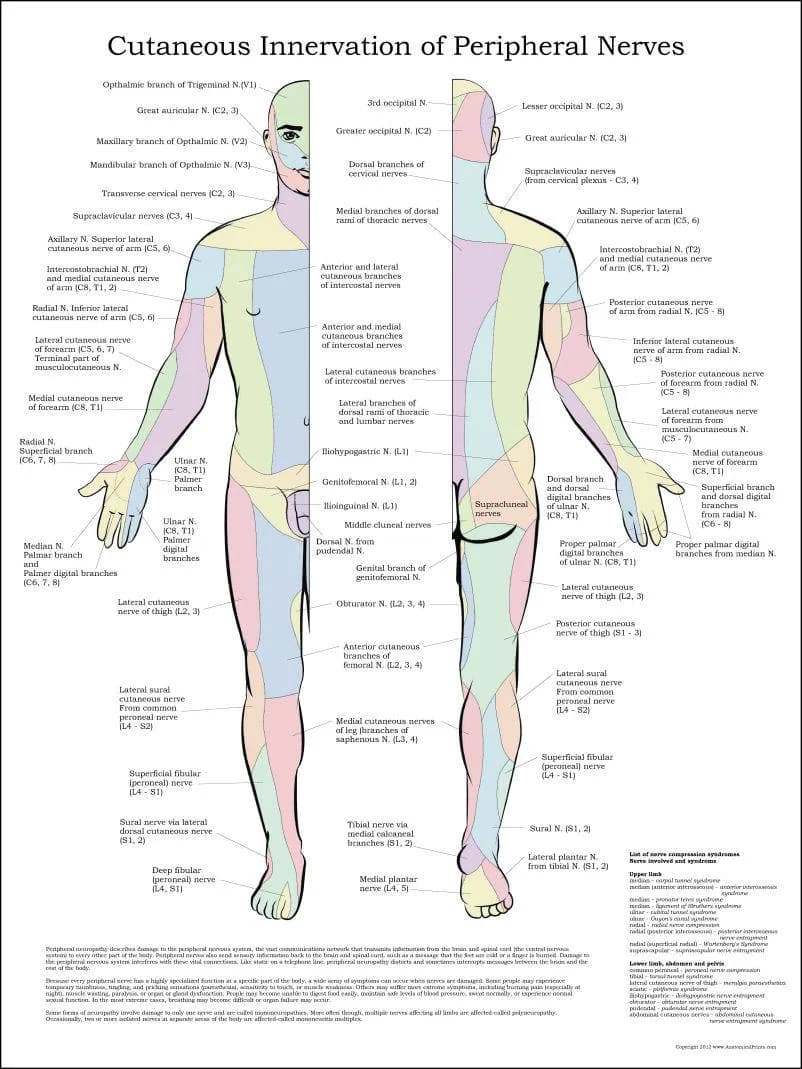 PG Medical Systems, image 1