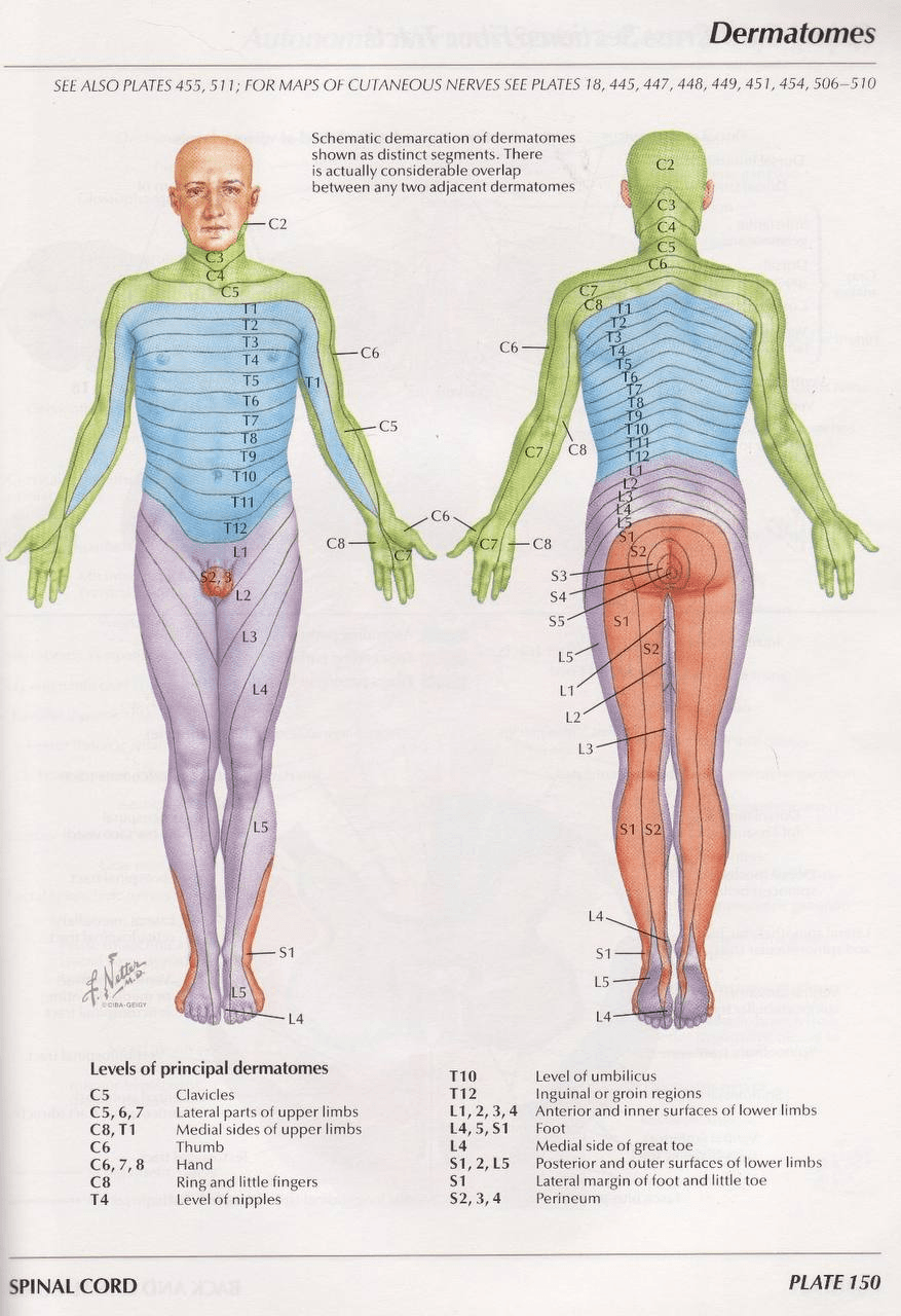 PG Medical Systems